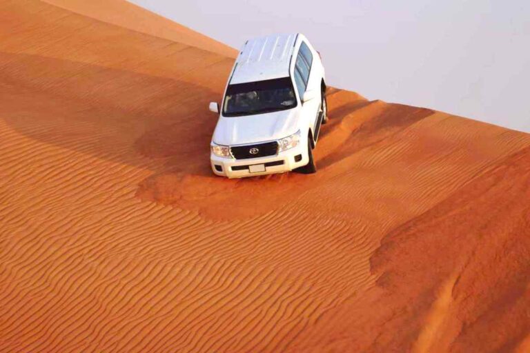 The UAE’s Desert Landscapes Look Empty — Until You Spend Time in Them