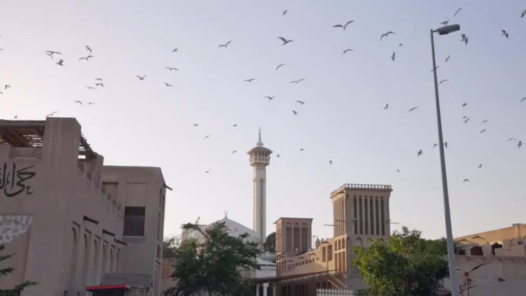 Al Fahidi Neighborhood