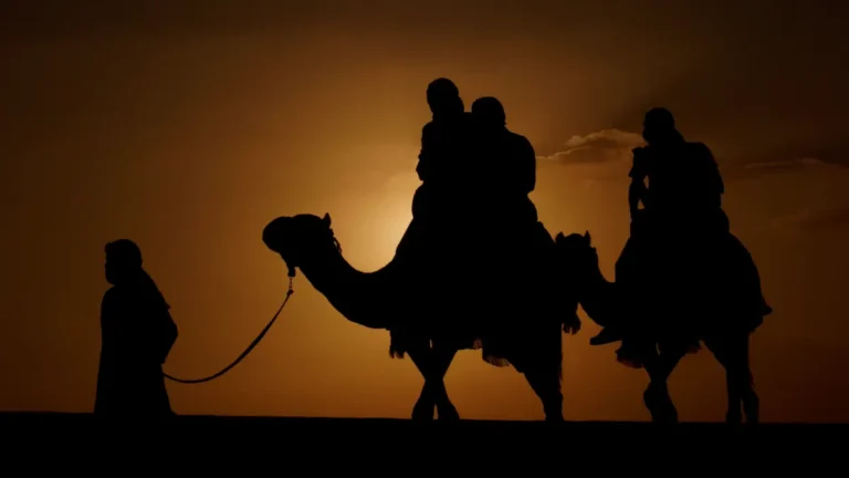 Camel Ride Dubai Sunset Safari
